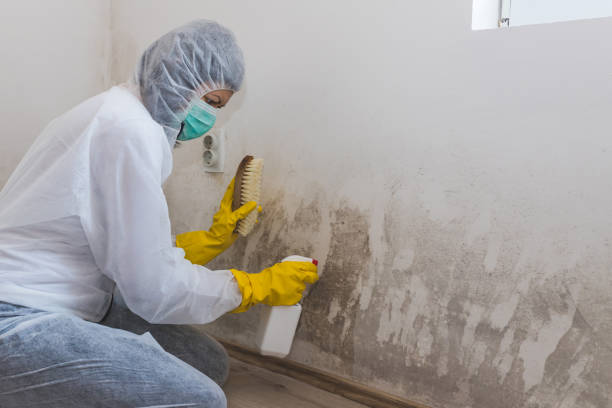 Water Damage Restoration in Jonestown, PA