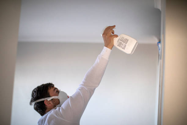 Best Local Mold Removal Service  in Jonestown, PA