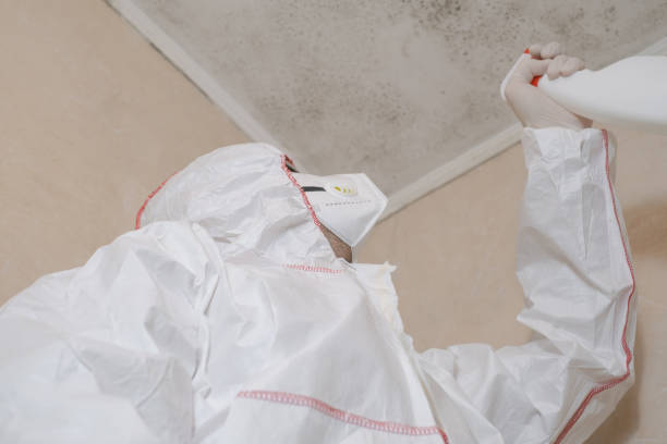 Best Mold Testing and Removal  in Jonestown, PA